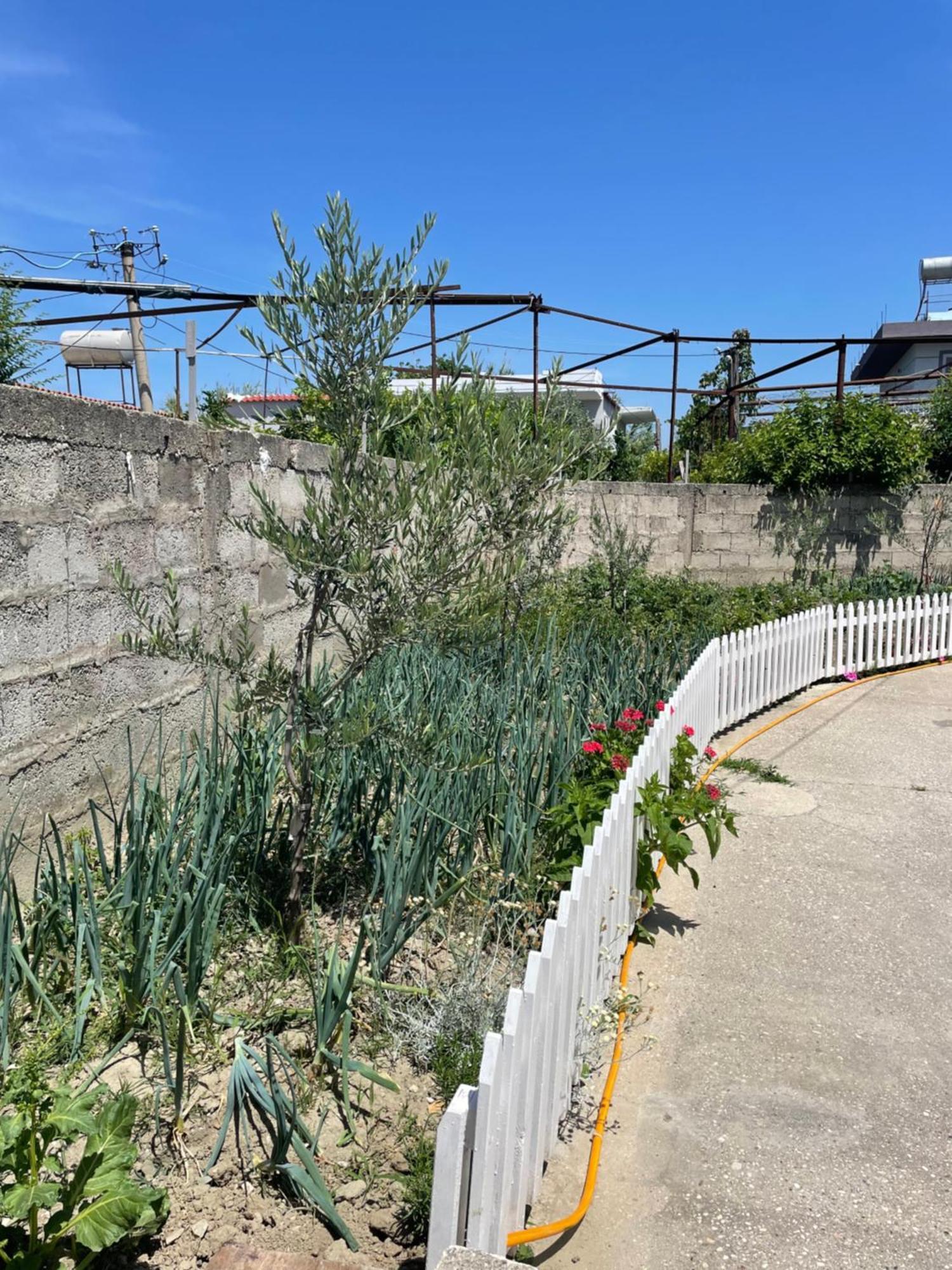 Rental Houses Dukaj Vlora Kültér fotó